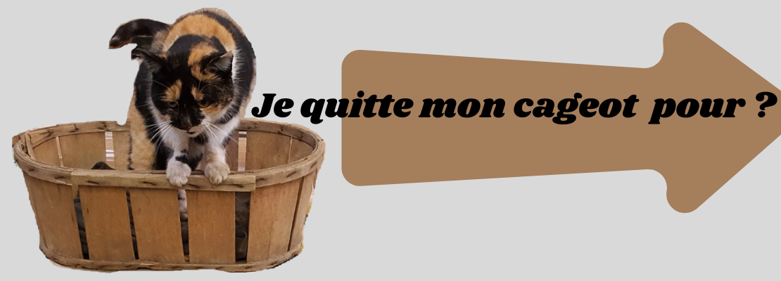 dôme -maisonnette pour chats et petites races de chiens